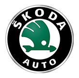 reprogramação centralina skoda